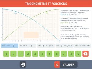 trigo11